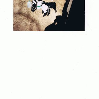 temp_ning_photo_file.jpg
