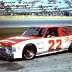 BOBBY ALLISON BUSCH CAR DAYTONA 85