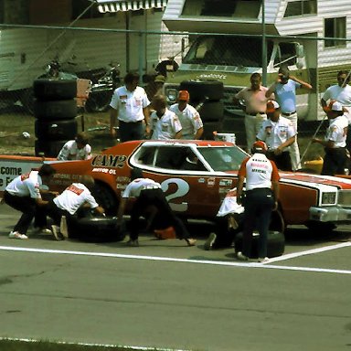 #2 Bobby Allison 1976 Champion Spark Plug 400 @ Michigan