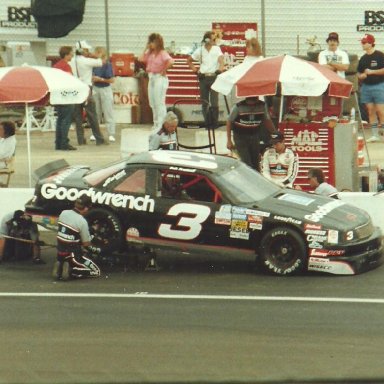 Earnhardt