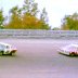 #16 Gary Bettenhausen  #52 Earl Ross 1974 Motor State 400 @ Michigan