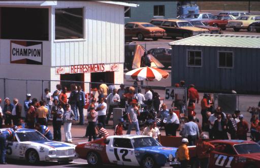 01 Earle Canavan 12 Bobby Allison 15 Buddy Baker 1977 Champion Spark