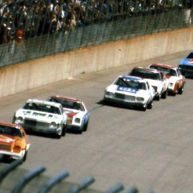 #11 Cale Yarborough #88 Darrell Waltrip #72 Benny Parsons #15 Buddy Baker #21 David Pearson #92 Skip Manning #43 Richard Petty 1977 Champion Spark Plug 4oo @ Michigan