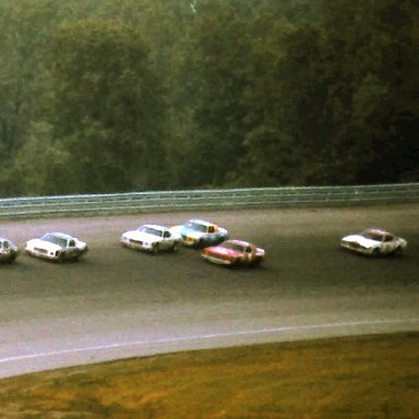 #28 Buddy Baker #11 Cale Yarborough #88 Darrell Waltrip #1 David Pearson #2 Dale Earnhart #21 Neil Bonnett #44 Terry Labonte 1980 Gabriel 400 @ Michigan