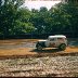 Waycross Ga. 1960 Willie McDonald #2