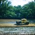 Waycross, Ga. 1960  Lee Roy Yarborough