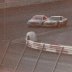 Northwestern Bank 400, North Wilkesboro, NC April 5, 1981