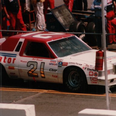 Virginia 500, Martinsville Speedway, April 26, 1981