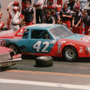 Virginia 500, Martinsville Speedway, April 26, 1981