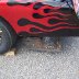 PETTY FAN CLUB/PETTY MUSEUM/RANDLEMAN NASCAR DAY