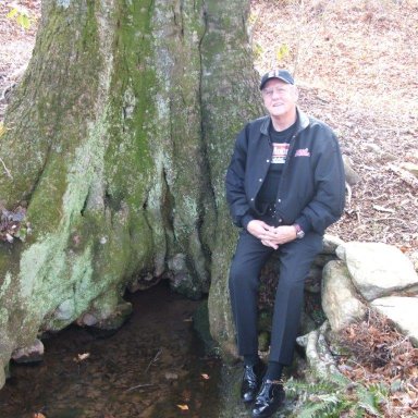 Wood old Beechtree at the old home place.