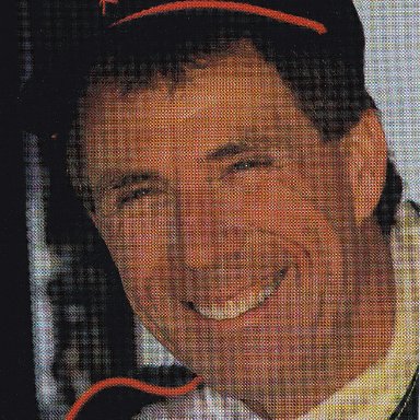 Darrell Waltrip (1993)