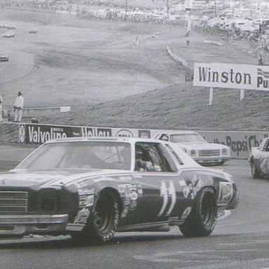 1981 Winston Western 500