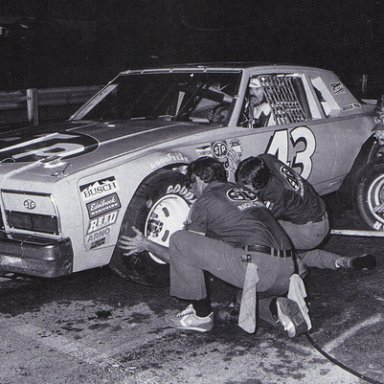 petty43-vi
