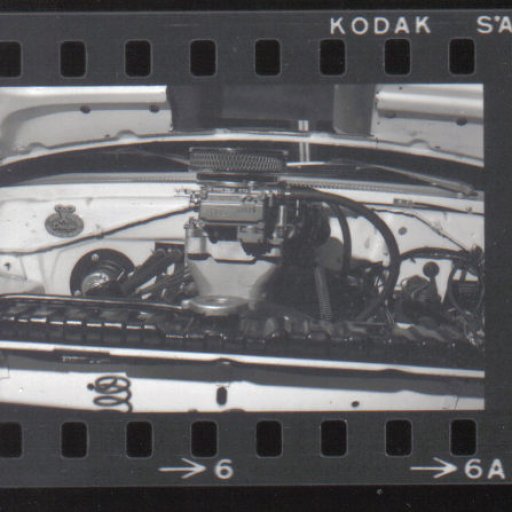 temp_ning_photo_file.jpg