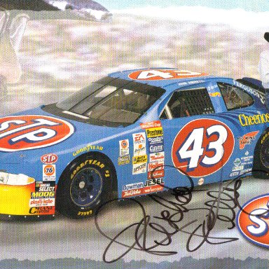#43 The King