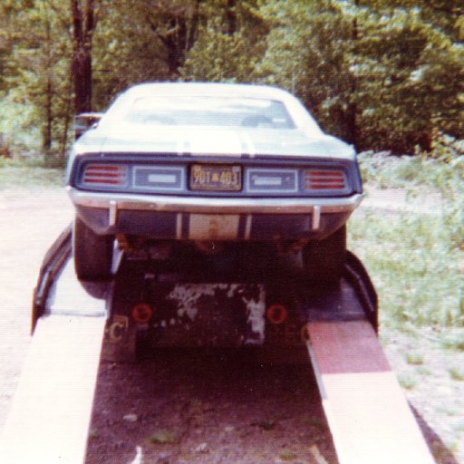temp_ning_photo_file.jpg