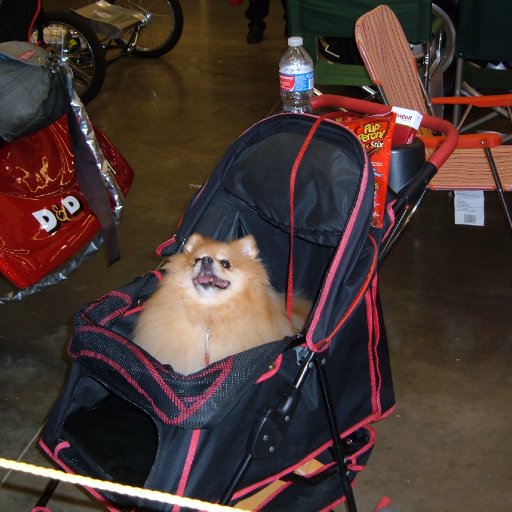 temp_ning_photo_file.jpg