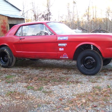 Red Mustang