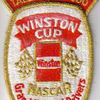 winston-vi