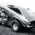 JUNGLE_JIM_PIT1973_INDY