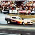 PISANO_S_FIREBIRD_GATORS