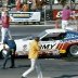 SNAKE_FUNNY__CAR_75_WINTER