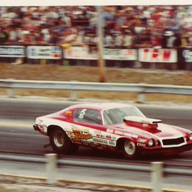 WJ_S_CAMARO_78_GATORS