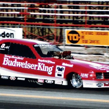 84_GATORS_BUD_KING_FUNNY_CAR
