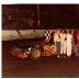Volusia County Speedway April 1980