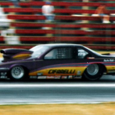 88SUMMER_CIFARELLI_S