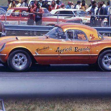 APRICOT_BRANDY_H_MP_72_SPRI