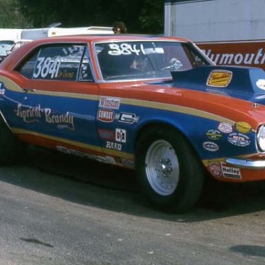 APRICOT_BRANDY_MP_75_SPORTS