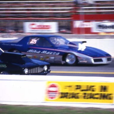 MIKE_MAZZA_S_G_85_GATORS