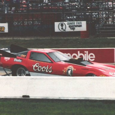 Mongroose at 84 Springnts