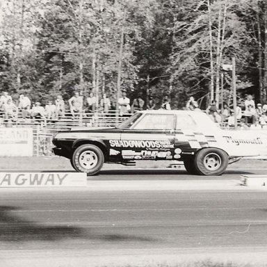 Shadowoods Ply ss -da Leaving line Milan