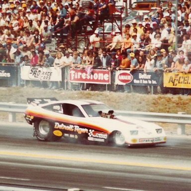 Tom  Prock78 Monza 1978 Gators