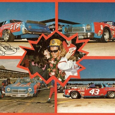 RichardPetty78PhoenixWWGNSmall-vi