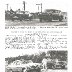 Old Dominion Press. Mousie Brown