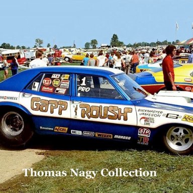 gapproush1974nhrausnationalsps-vi