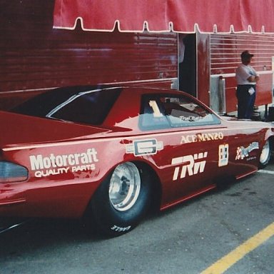 Manzo T-Bird