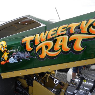 Tweety's Rat