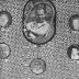 Phil Bonner Jr
