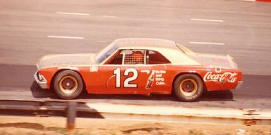 Bobby Allison Fans