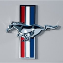 Mustang Owners Group
