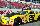 rex ruggless