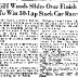 Richmond FG 92052 r.JPG
