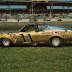 Mario Andretti/Holman-Moody 1968 Mercuy Cyclone