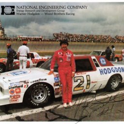 Neil Bonnett/Wood Brothers 1982 Ford Thunderbird