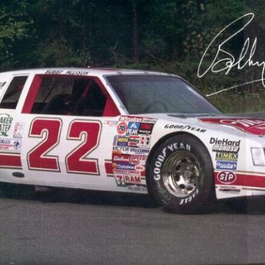 Bobby Allison 1984